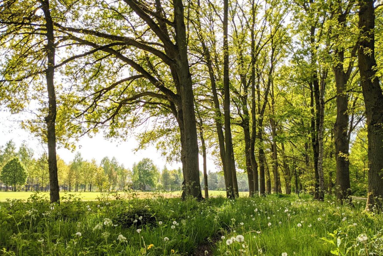 De Vinkenkamp Camping Lieren